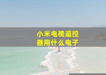 小米电视遥控器用什么电子