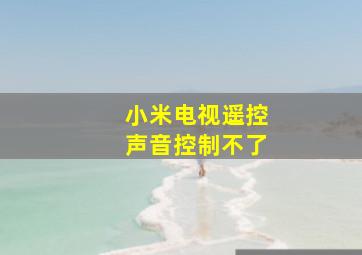 小米电视遥控声音控制不了