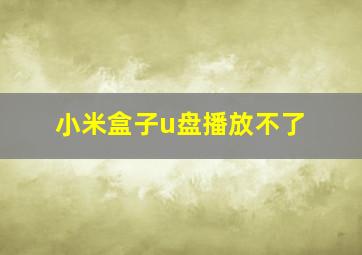 小米盒子u盘播放不了