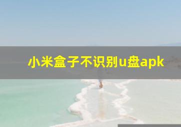 小米盒子不识别u盘apk