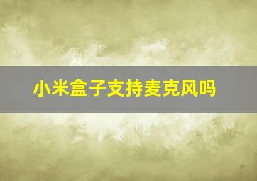 小米盒子支持麦克风吗