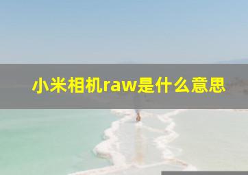 小米相机raw是什么意思