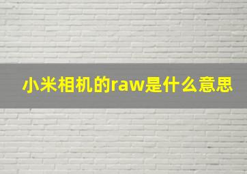 小米相机的raw是什么意思