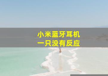 小米蓝牙耳机一只没有反应