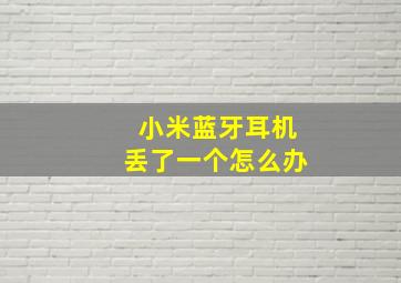 小米蓝牙耳机丢了一个怎么办