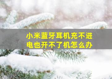 小米蓝牙耳机充不进电也开不了机怎么办