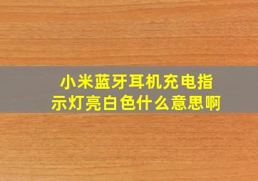 小米蓝牙耳机充电指示灯亮白色什么意思啊