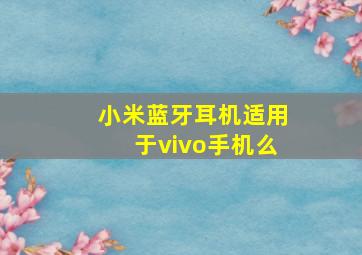 小米蓝牙耳机适用于vivo手机么