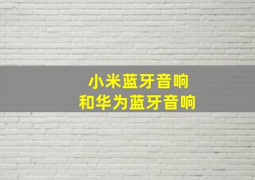 小米蓝牙音响和华为蓝牙音响