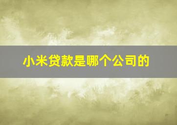 小米贷款是哪个公司的