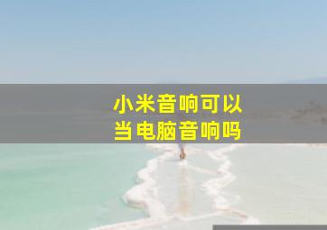 小米音响可以当电脑音响吗