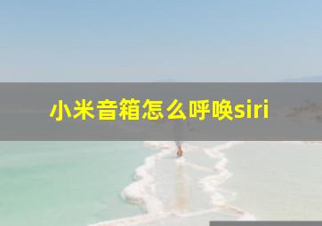 小米音箱怎么呼唤siri