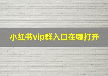 小红书vip群入口在哪打开