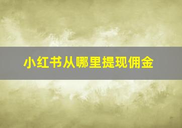 小红书从哪里提现佣金