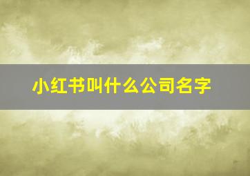 小红书叫什么公司名字