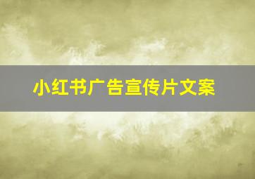 小红书广告宣传片文案