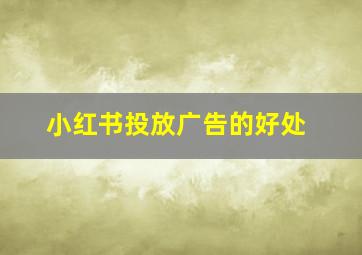 小红书投放广告的好处