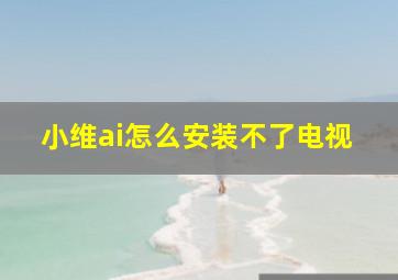 小维ai怎么安装不了电视