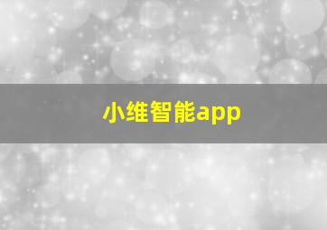 小维智能app