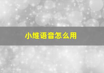 小维语音怎么用