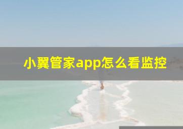 小翼管家app怎么看监控