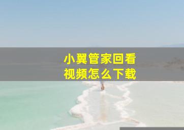 小翼管家回看视频怎么下载