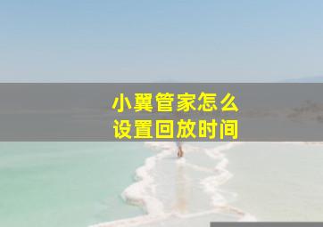 小翼管家怎么设置回放时间