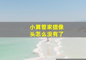 小翼管家摄像头怎么没有了