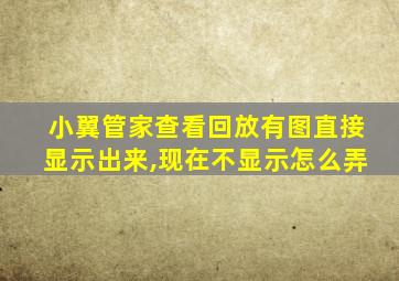 小翼管家查看回放有图直接显示出来,现在不显示怎么弄