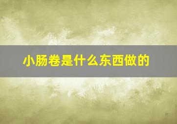 小肠卷是什么东西做的