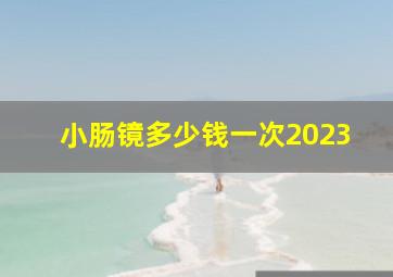 小肠镜多少钱一次2023