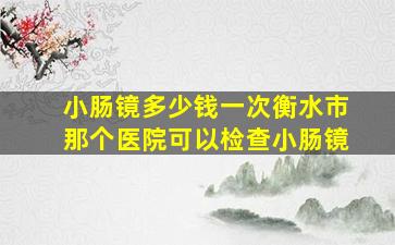 小肠镜多少钱一次衡水市那个医院可以检查小肠镜