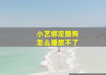 小艺绑定酷狗怎么播放不了