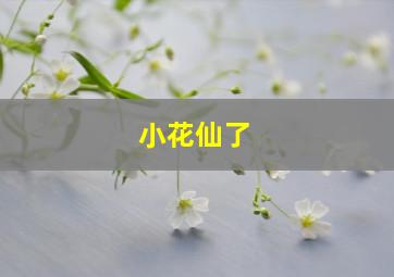 小花仙了