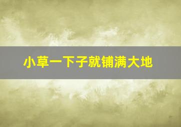 小草一下子就铺满大地