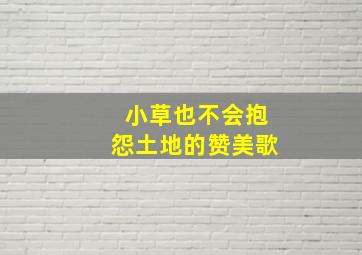 小草也不会抱怨土地的赞美歌