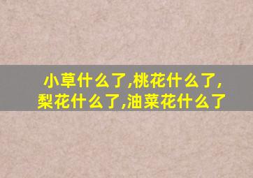 小草什么了,桃花什么了,梨花什么了,油菜花什么了