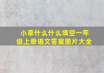 小草什么什么填空一年级上册语文答案图片大全