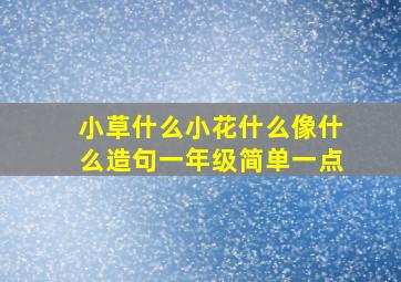 小草什么小花什么像什么造句一年级简单一点