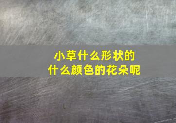 小草什么形状的什么颜色的花朵呢