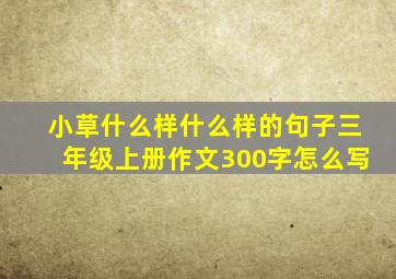 小草什么样什么样的句子三年级上册作文300字怎么写