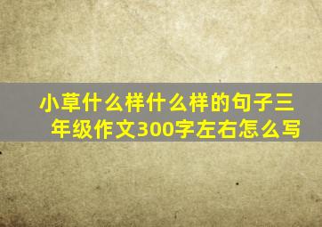 小草什么样什么样的句子三年级作文300字左右怎么写