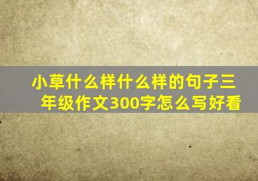 小草什么样什么样的句子三年级作文300字怎么写好看