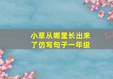 小草从哪里长出来了仿写句子一年级