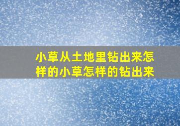 小草从土地里钻出来怎样的小草怎样的钻出来