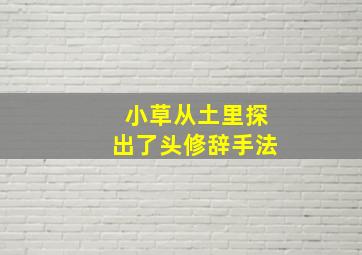 小草从土里探出了头修辞手法