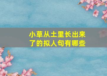 小草从土里长出来了的拟人句有哪些