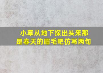 小草从地下探出头来那是春天的眉毛吧仿写两句