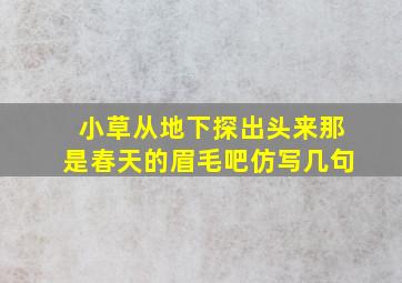 小草从地下探出头来那是春天的眉毛吧仿写几句