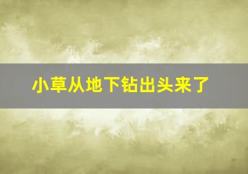 小草从地下钻出头来了